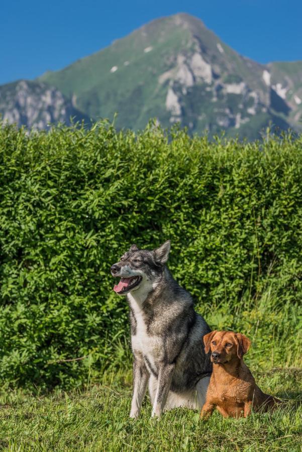 Penzion Safran Ždiar Esterno foto